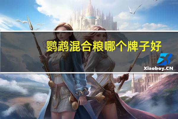 鹦鹉混合粮哪个牌子好