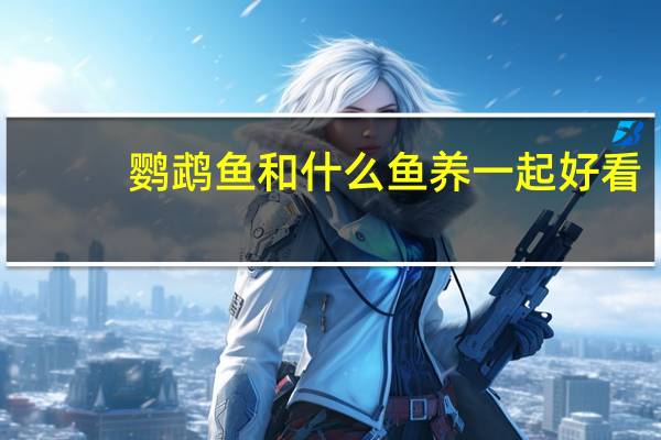 鹦鹉鱼和什么鱼养一起好看