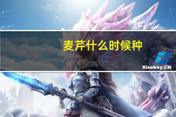 麦芹什么时候种