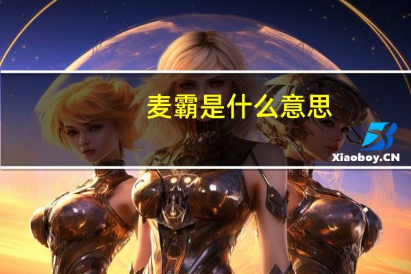 麦霸是什么意思