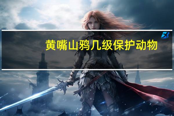 黄嘴山鸦几级保护动物