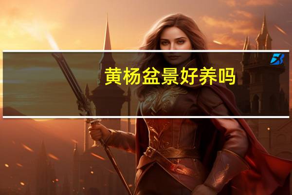 黄杨盆景好养吗