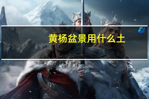 黄杨盆景用什么土