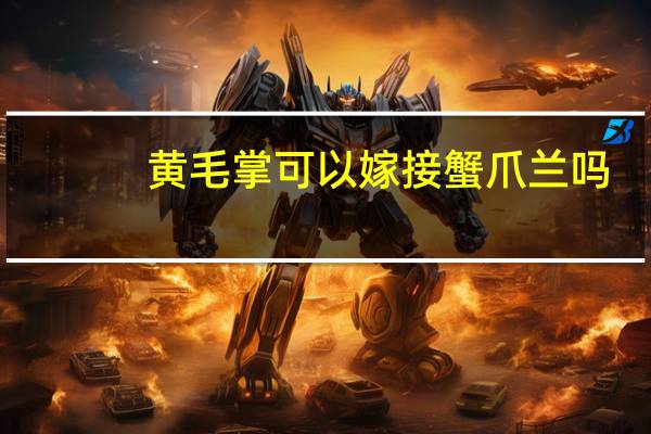 黄毛掌可以嫁接蟹爪兰吗