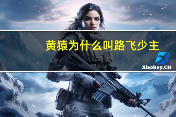 黄猿为什么叫路飞少主