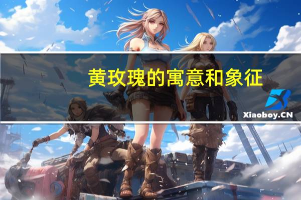 黄玫瑰的寓意和象征