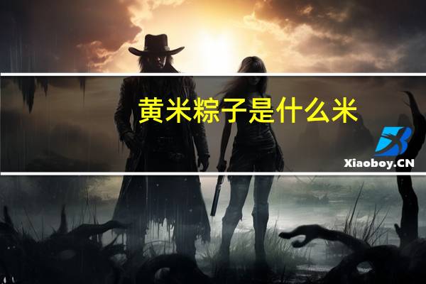 黄米粽子是什么米