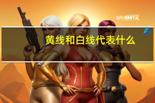 黄线和白线代表什么