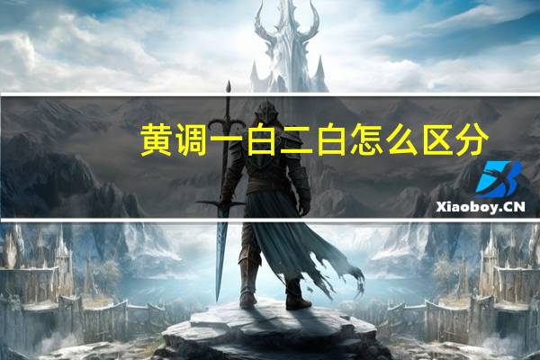 黄调一白二白怎么区分