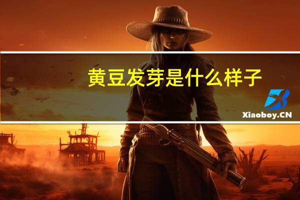 黄豆发芽是什么样子