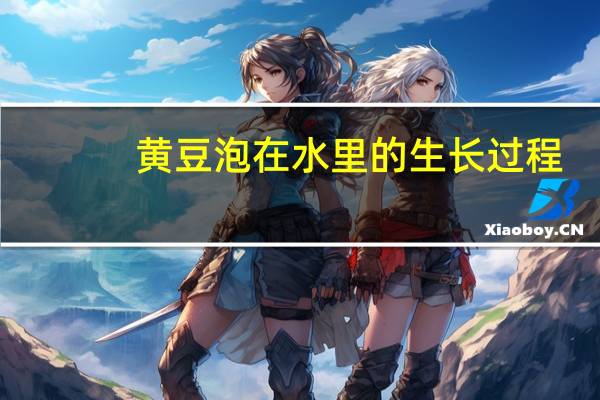 黄豆泡在水里的生长过程