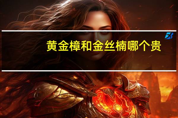 黄金樟和金丝楠哪个贵
