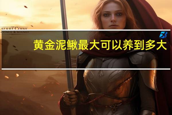 黄金泥鳅最大可以养到多大