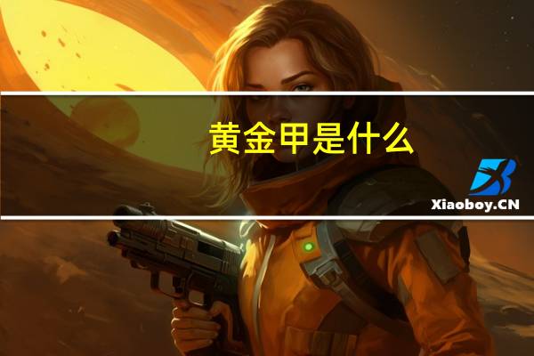 黄金甲是什么