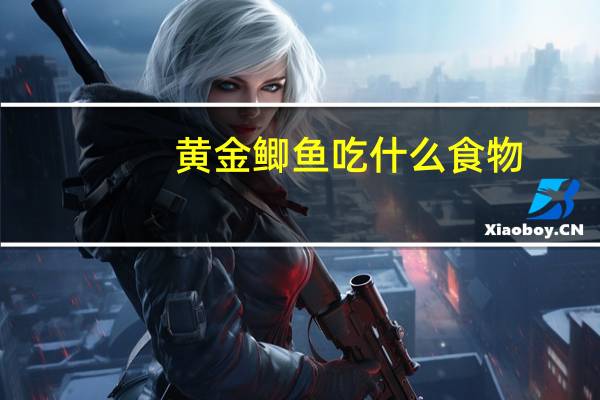 黄金鲫鱼吃什么食物