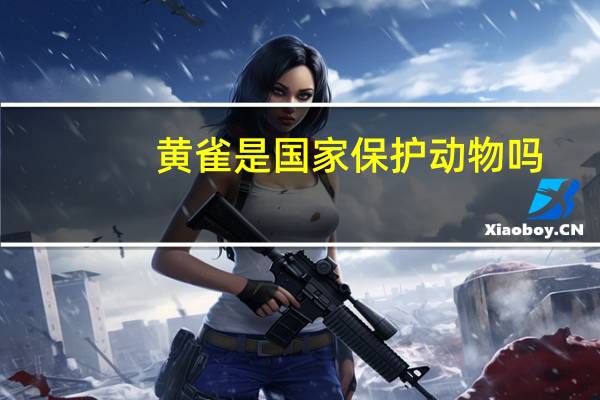 黄雀是国家保护动物吗