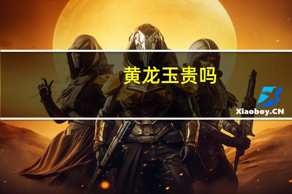 黄龙玉贵吗