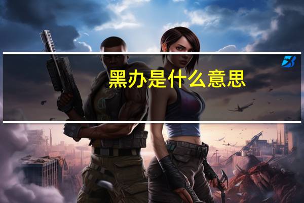黑办是什么意思