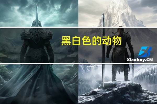 黑白色的动物