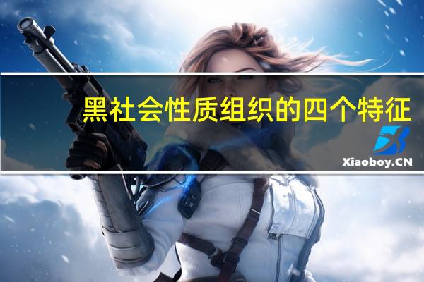 黑社会性质组织的四个特征