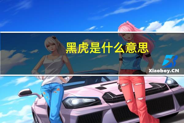 黑虎是什么意思