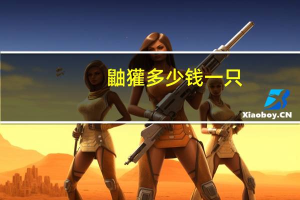 鼬獾多少钱一只