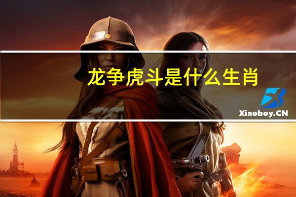 龙争虎斗是什么生肖