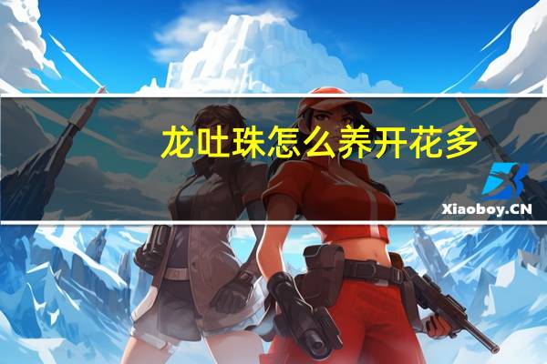 龙吐珠怎么养开花多