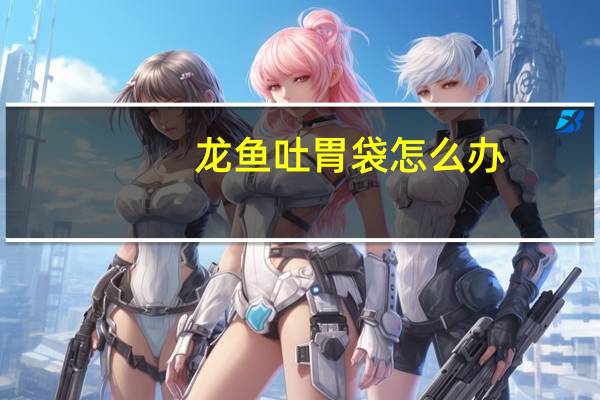 龙鱼吐胃袋怎么办