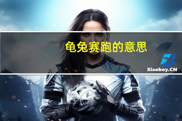 龟兔赛跑的意思