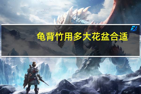 龟背竹用多大花盆合适