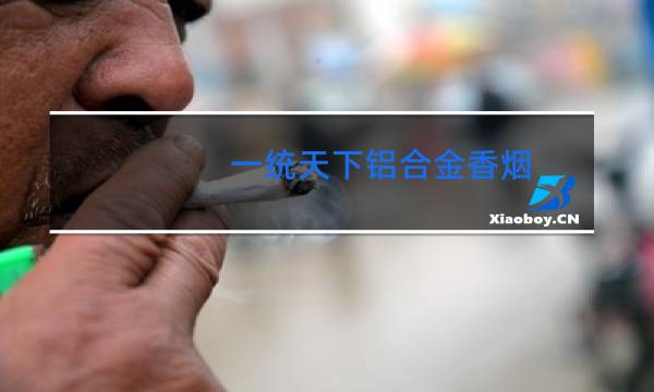 一统天下5包礼盒香烟图片