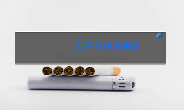 天子五粮液香烟