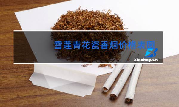 雪莲青花瓷香烟价格表图